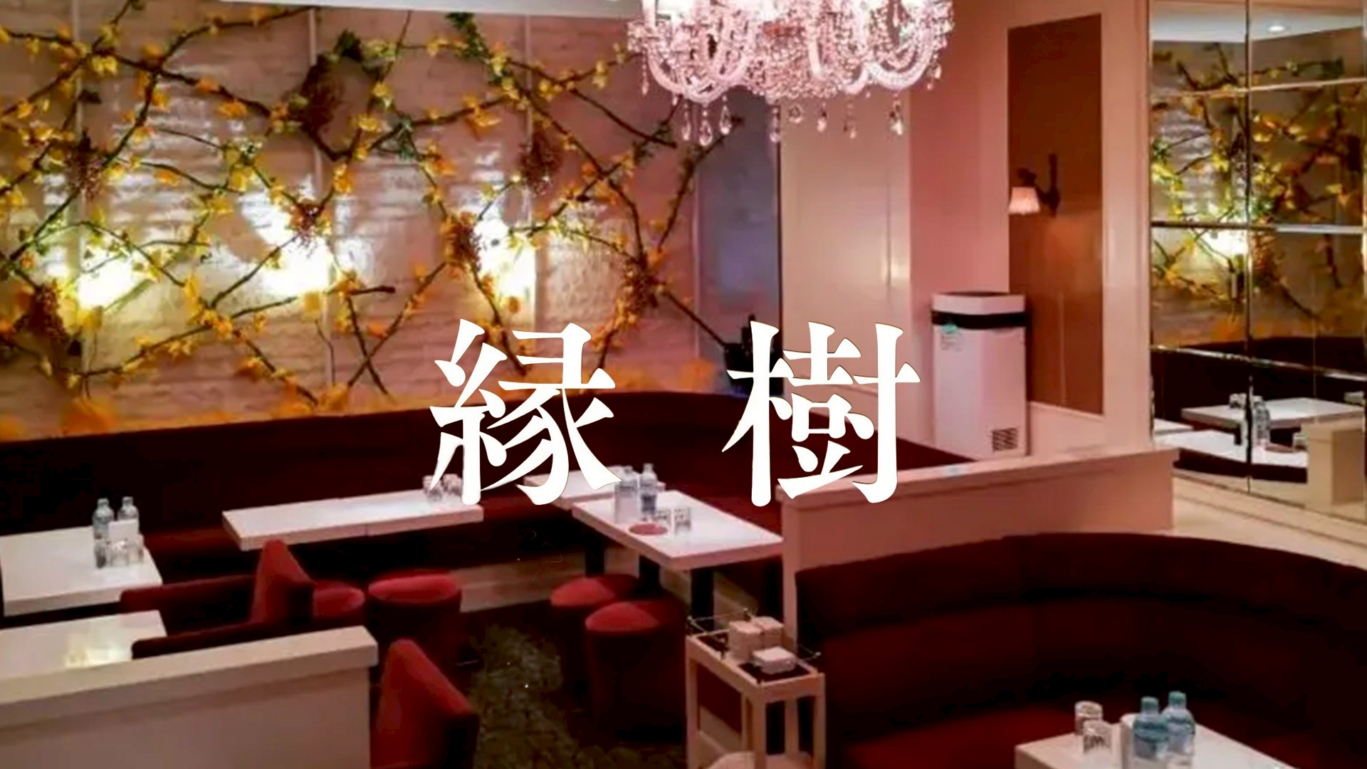 縁樹(えんじゅ)