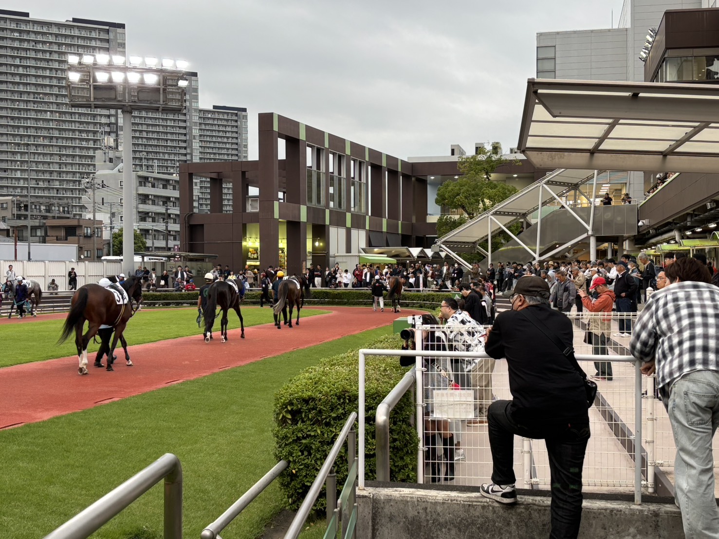 馬を見る目より、“人を見る目”